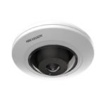 Hikvision DS-2CD2955G0-ISU Ojo de Pez IP 5MP L Fijo Vista Panoramico180°